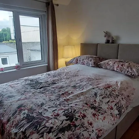 Charming & Comfy 2bd In Trendy Neighbourhood * دبلن